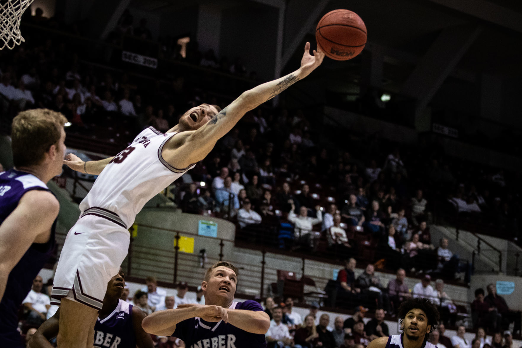 Griz v. Weber 7